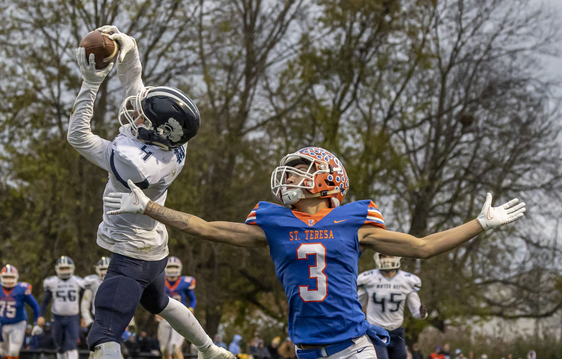 St. Teresa Breese Mater Dei 41 111321.JPG